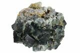 Fluorite Crystal Cluster - Rogerley Mine #146254-1